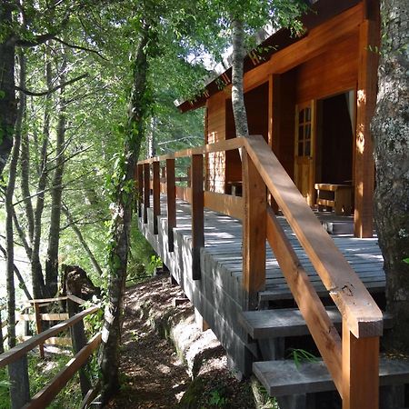 Patagonia Mawida Villa Neltume Exterior foto