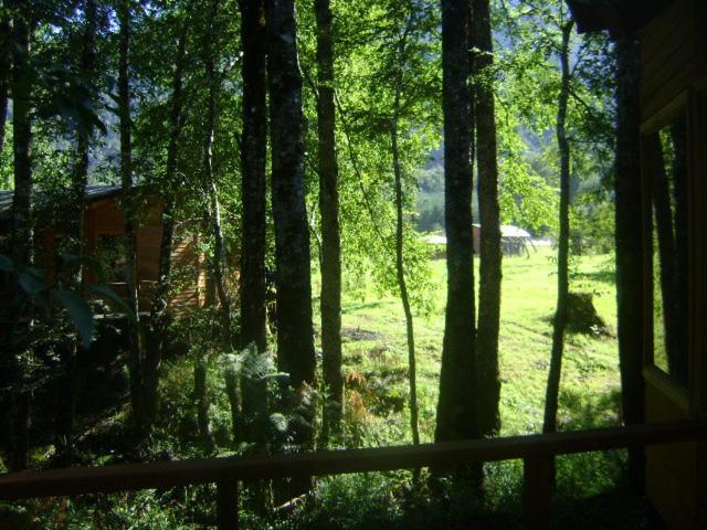 Patagonia Mawida Villa Neltume Exterior foto