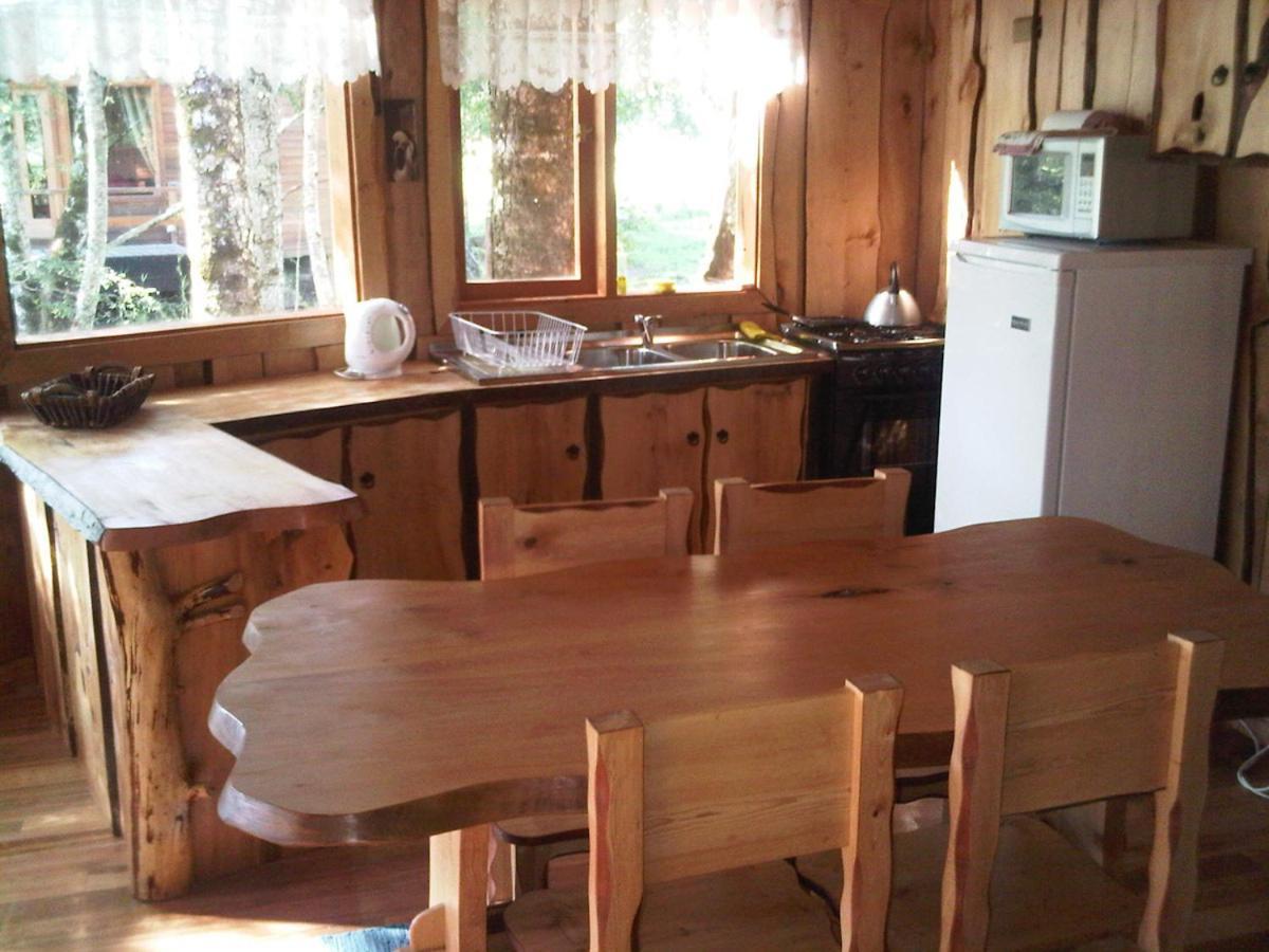 Patagonia Mawida Villa Neltume Cameră foto