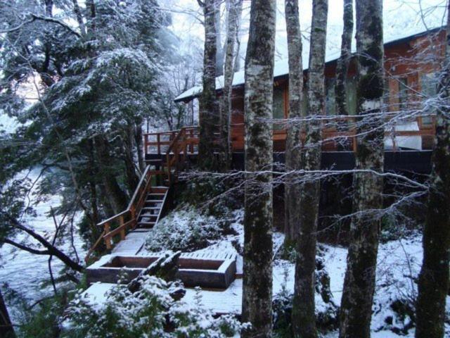 Patagonia Mawida Villa Neltume Exterior foto