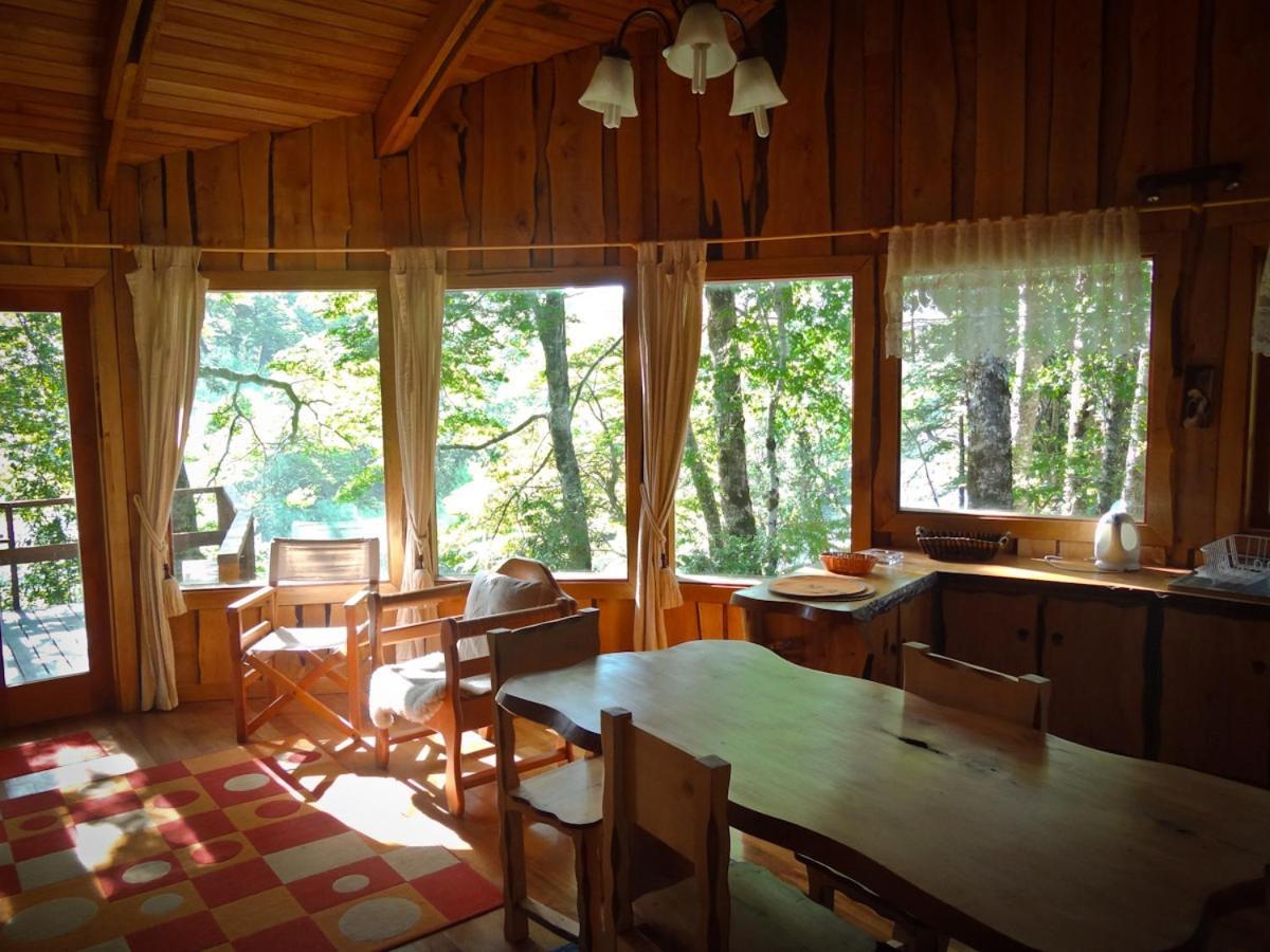 Patagonia Mawida Villa Neltume Exterior foto