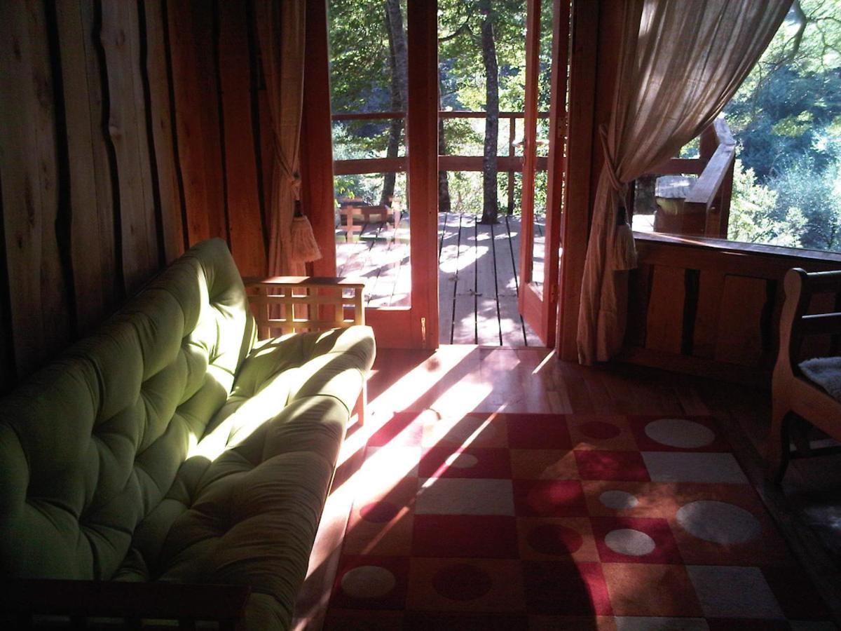 Patagonia Mawida Villa Neltume Exterior foto