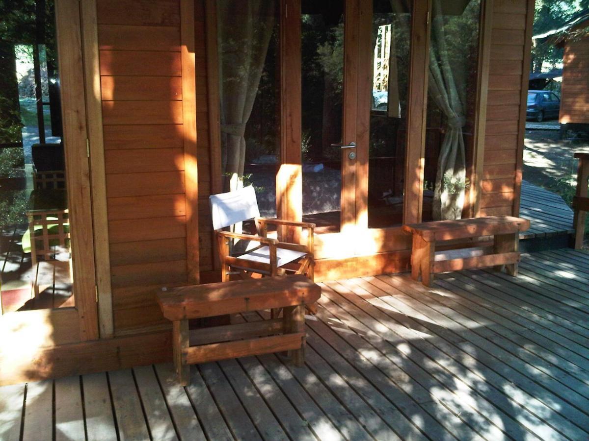 Patagonia Mawida Villa Neltume Exterior foto