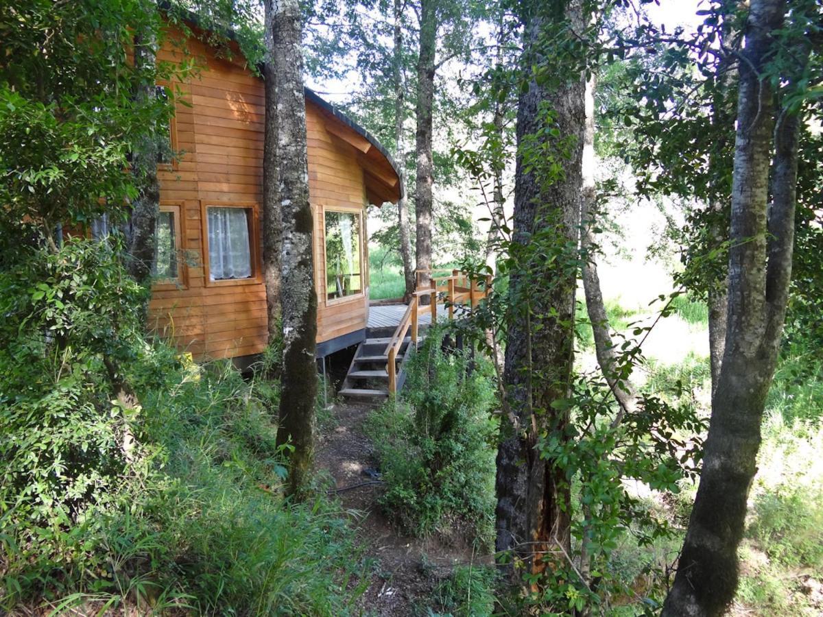 Patagonia Mawida Villa Neltume Exterior foto