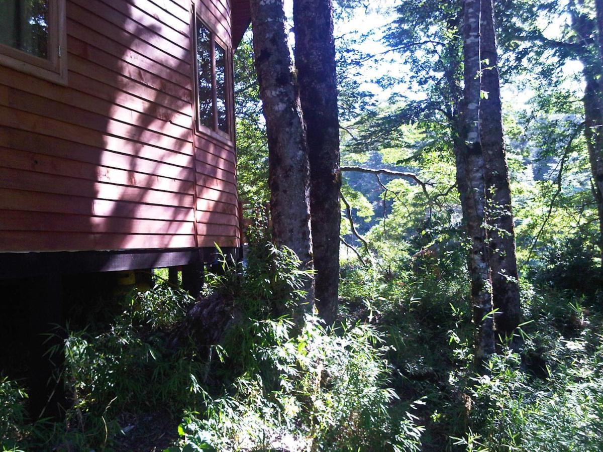Patagonia Mawida Villa Neltume Exterior foto