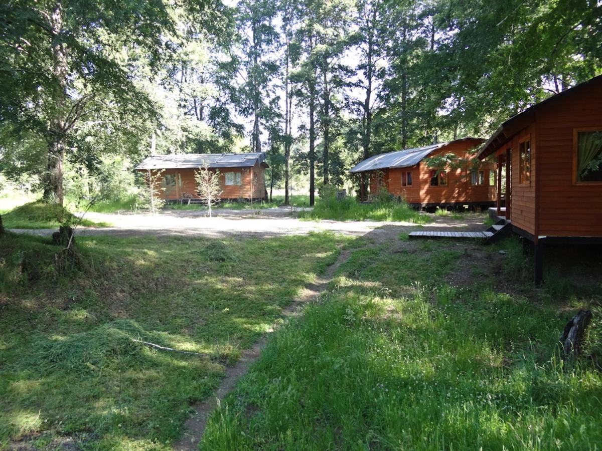 Patagonia Mawida Villa Neltume Exterior foto
